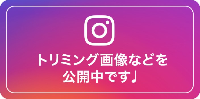 instagramバナー